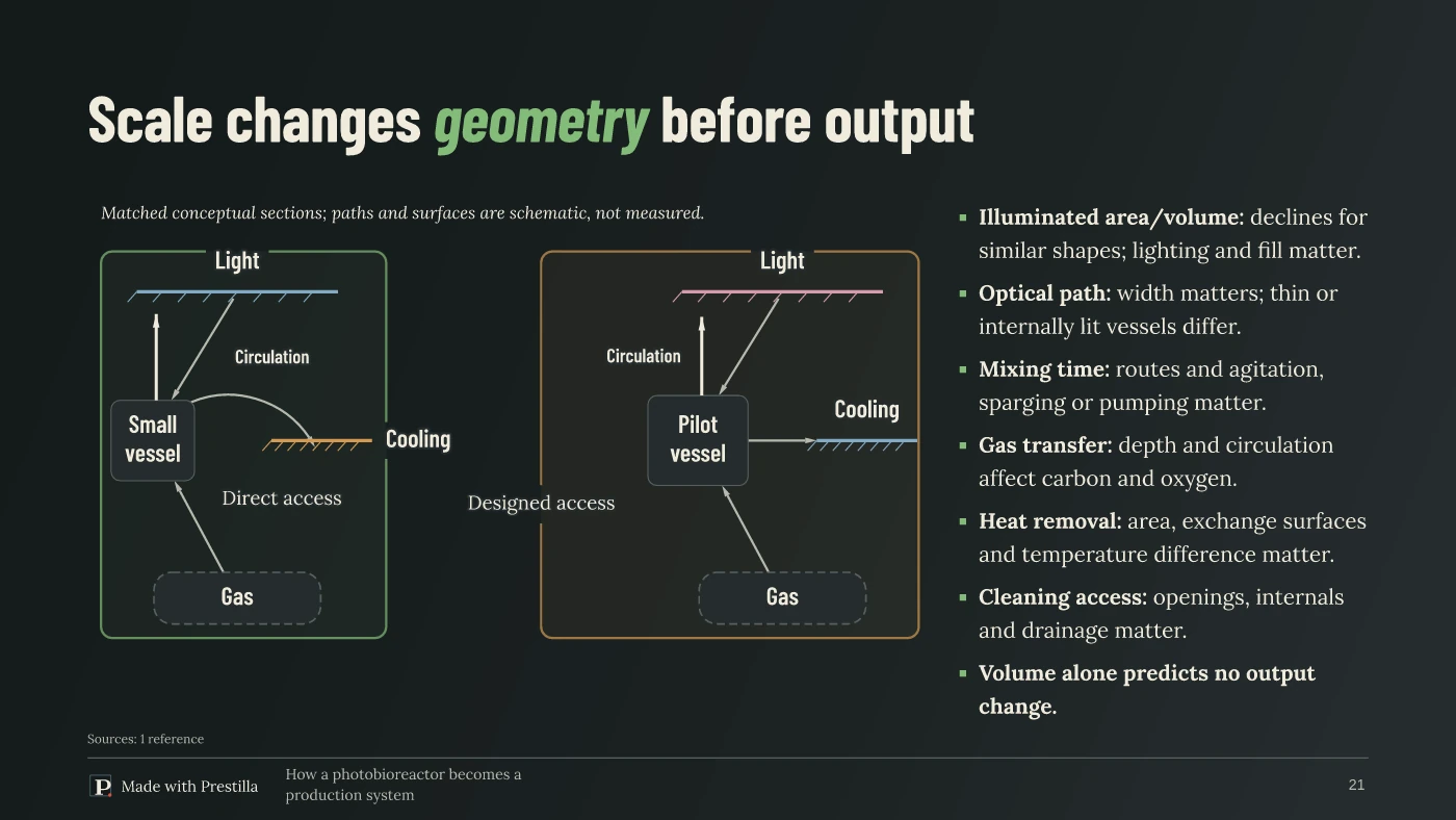 Basalt / Bloom: Scale changes geometry before it changes output. Slide 21 from the same deck.
